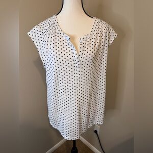 Daniel Rainn Polka Dot Women's Top XL